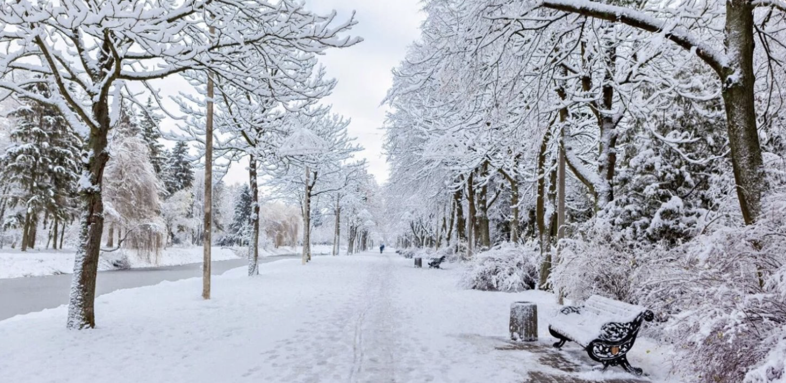 30 Chilling Facts About Snow